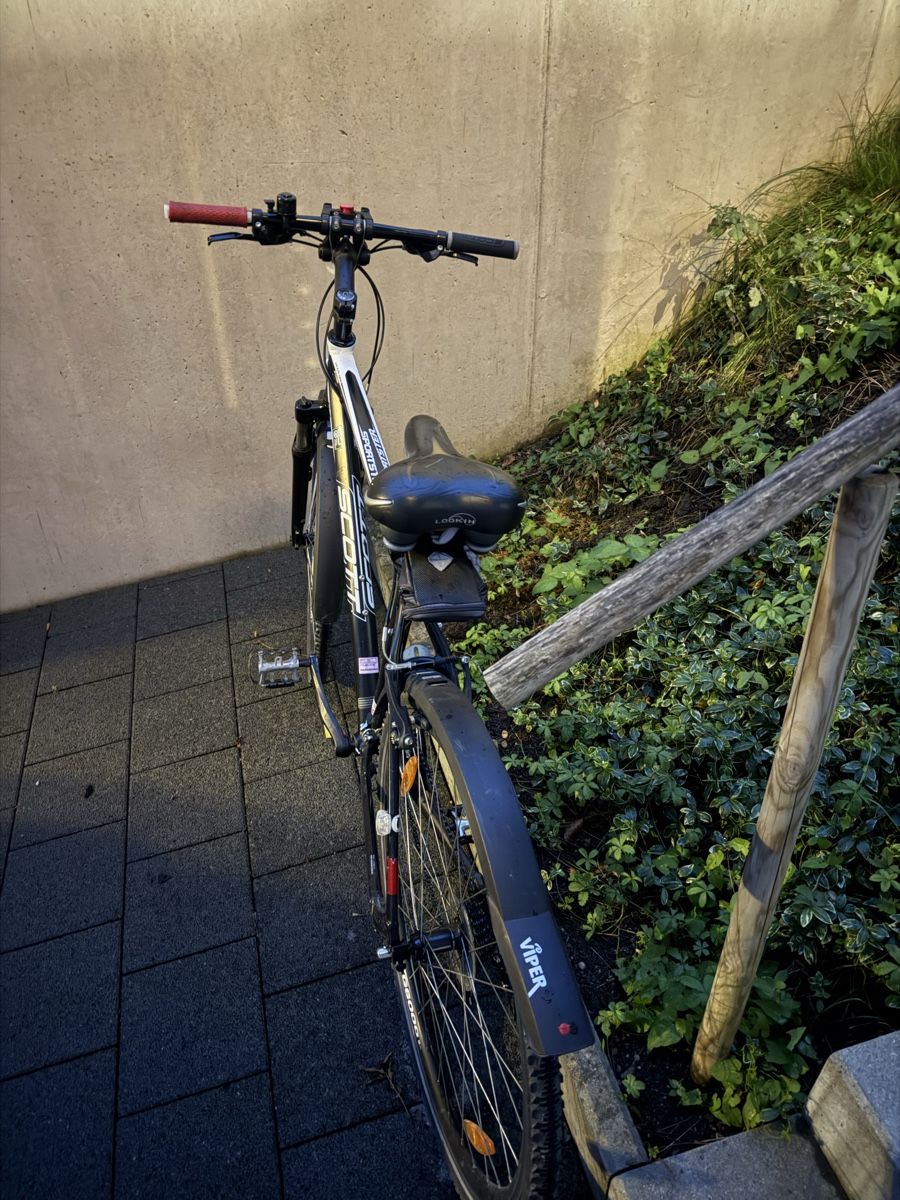 Scott Vélos: Scott fahrrad/bike – D'occasion à Buochs par jus_n97b 1