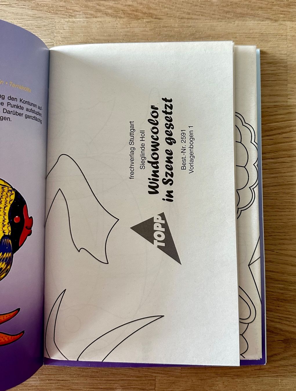 Bücher: Bastelbuch: Window-Color in Szene gesetzt – Neu (gemäss Beschreibung) aus Amriswil von Mat08 1