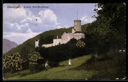 AK Oensingen, Schloss Neu-Bechburg