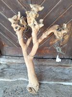 GARTENBELEUCHTUNG - GARTENDEKORATION