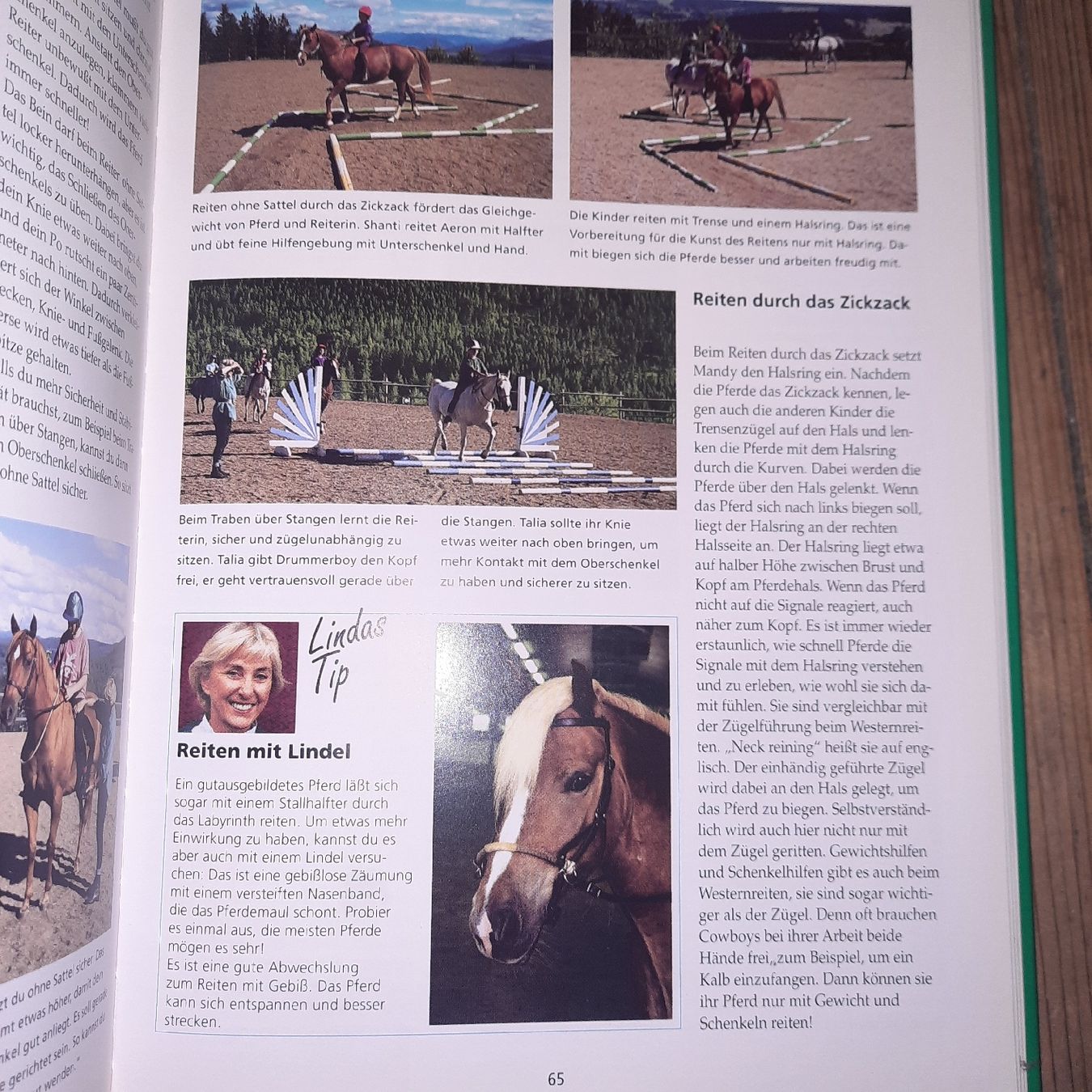 Libri: Tellington-Jones Reitschule – Nuovo (secondo la descrizione) da Riedikon venduto da cor_7jcd 3