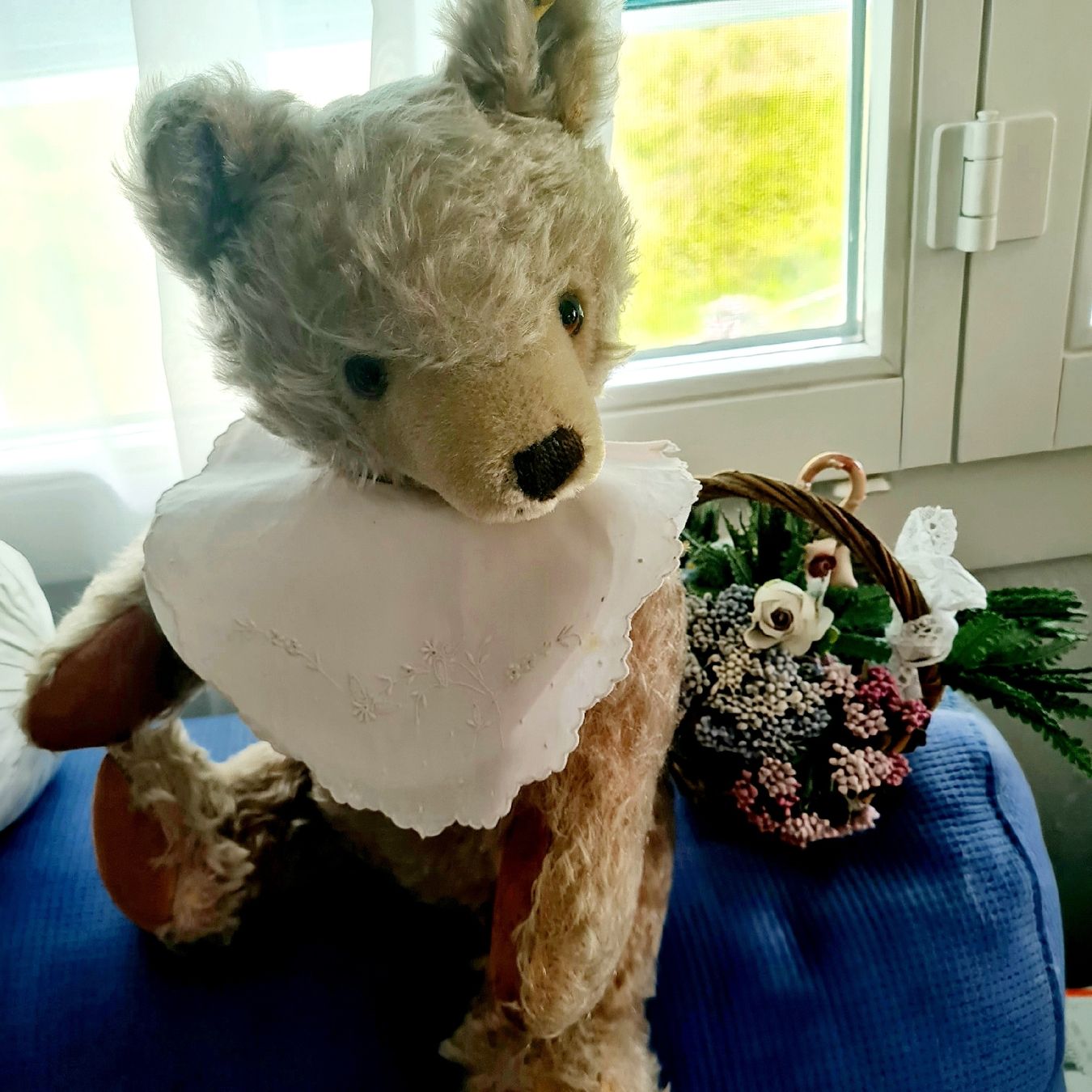 Steiff Giocattoli: STEIFF TEDDY BÄR mit dem kleinen Silberknopf ca.35cm – Usato da Siebnen venduto da annigannig 1