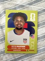 Panini USA 10