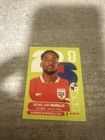 PAN 6 , FIFA WORLD CUP 2026 PANINI 