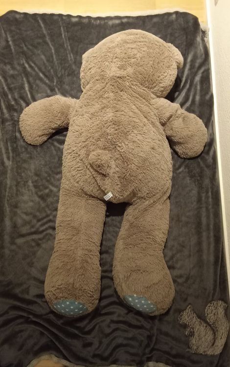 Giocattoli: XXL Teddybär – Usato da Mollis venduto da gar_wqz5 1