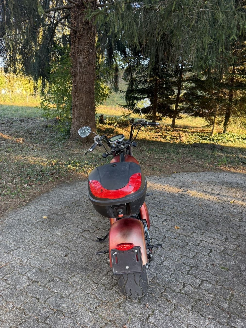 Citycoco Scooter: Dogebos CityCoco Chopper E-Roller 900km – Usato da Embrach venduto da nok84 1