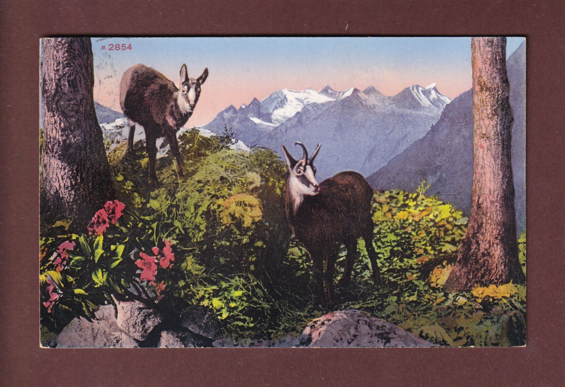 Cartes postales: GEMSE - 1913 – D'occasion à Pully par nicecards-shop