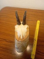 Gämse Schädel Trophäe auf Holzsockel, Jagd-Dekoration! (57)
