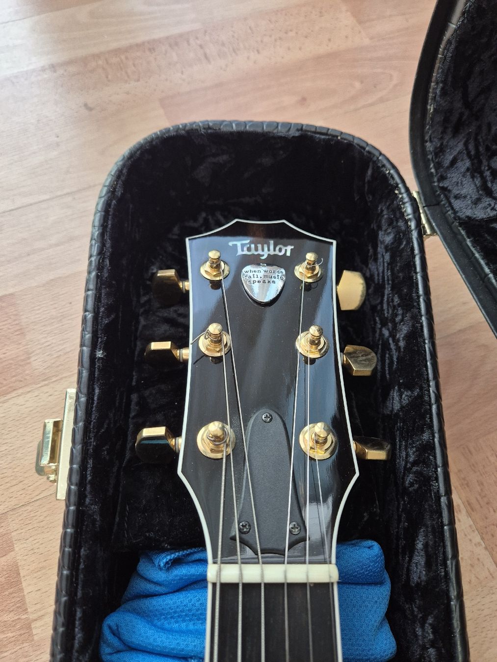 Taylor Instruments de musique: Taylor T5 Custom Gitarre  – D'occasion à Dielsdorf par 7TheRockDoc9 2