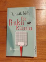Yannik Mahr, Die Praktikantin, Roman