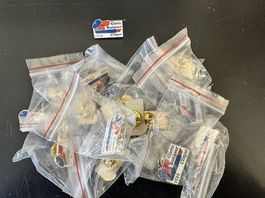 15 x Pins Guete Bonjour Waggis Fasnacht Basel