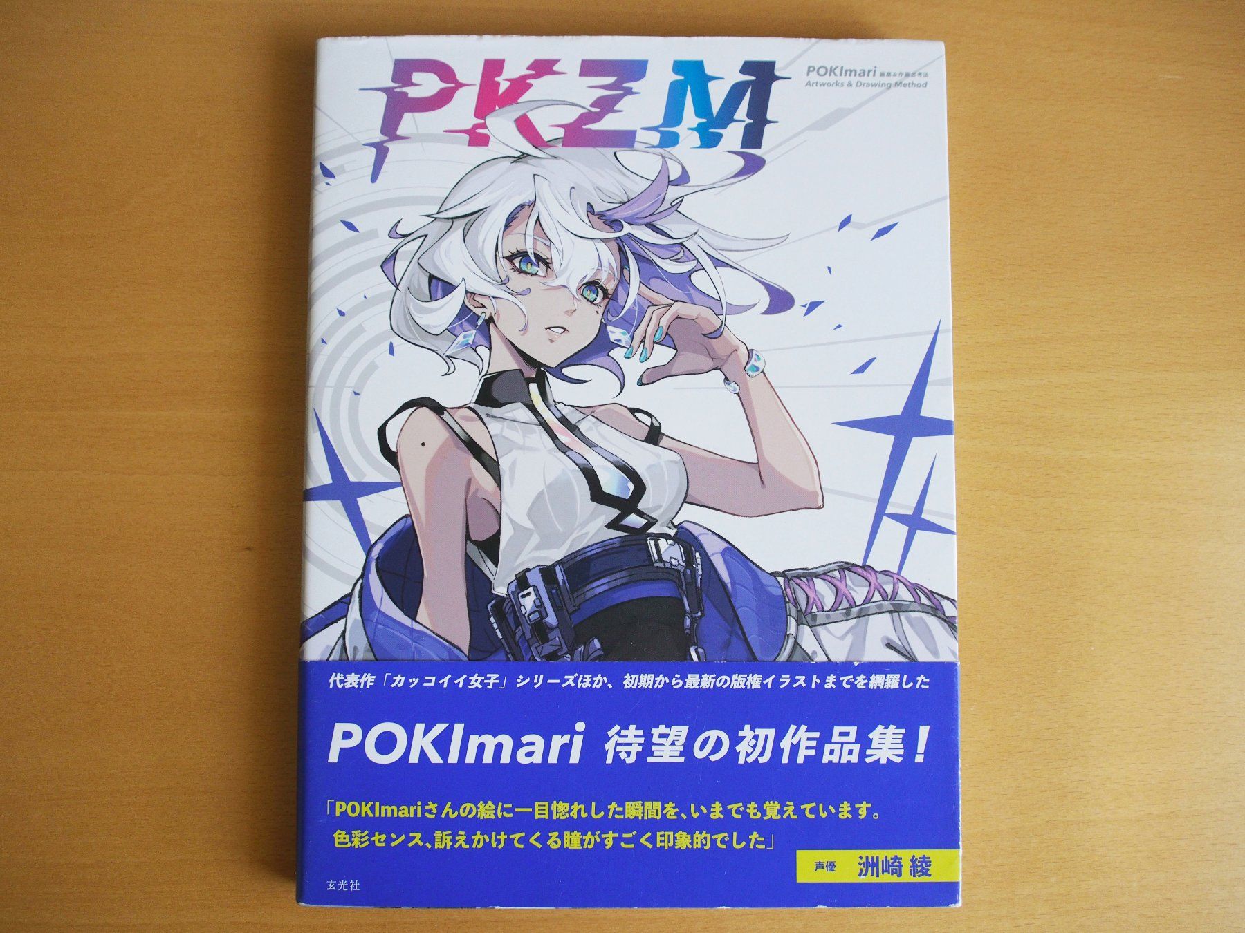 Libri: PKZM (Artbook) – Usato da Winistorf venduto da raziel66