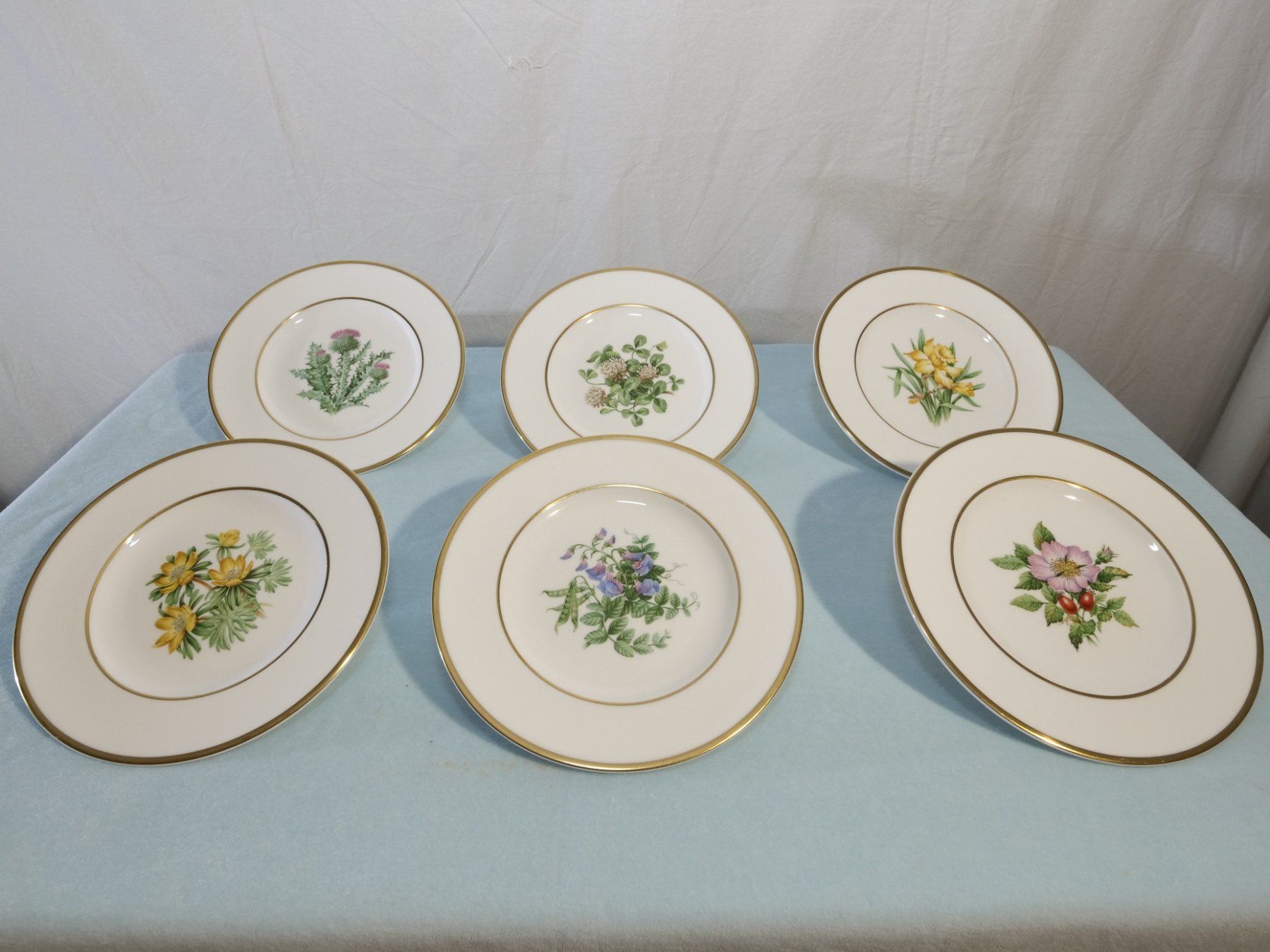 Royal Worcester Set di piatti: Geschirr-Set Kaffee- oder Tee von Royal Worcsester – Usato da Lustmühle venduto da Glatisant 4