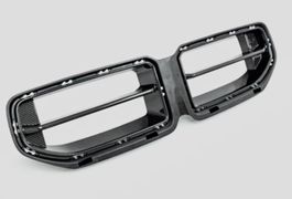 M2 G87 Carbon Nieren