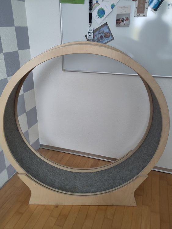 Gebraucht Laufrad Fr Katzen