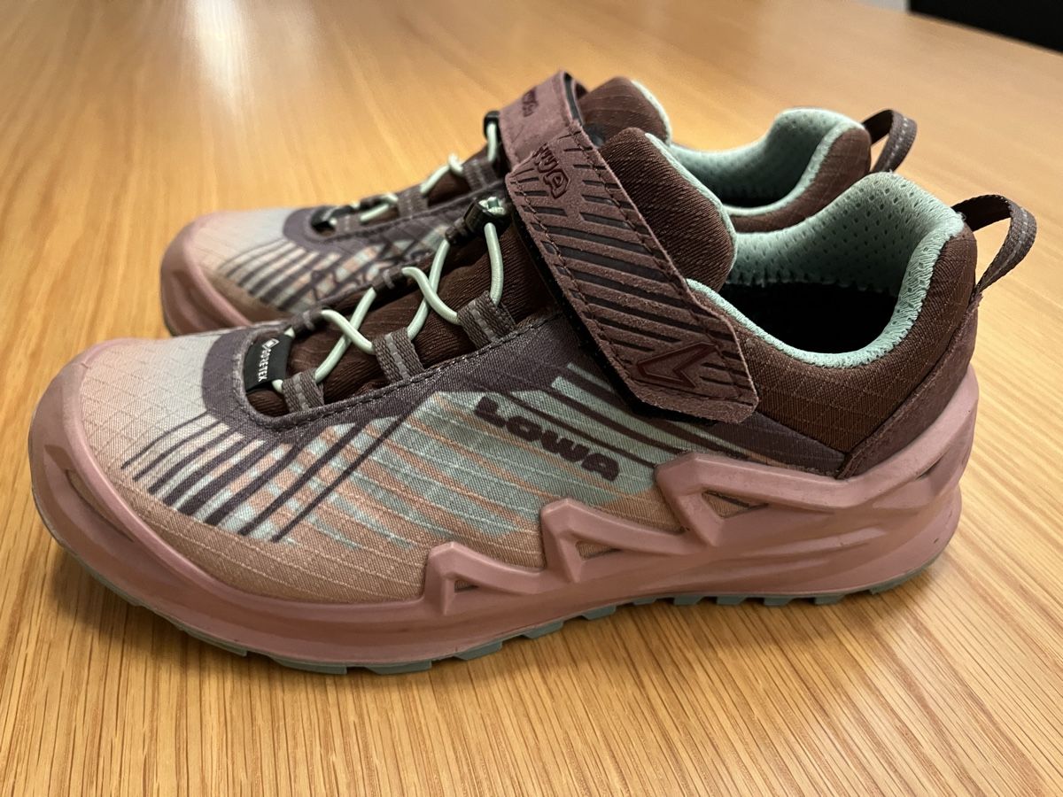 Lowa Scarpe da uomo: Chaussures de randonnée Lowa – Usato da Genthod venduto da Bilibi 2