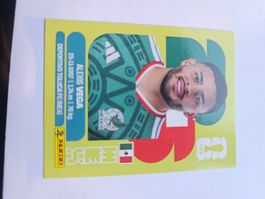 MEX 18