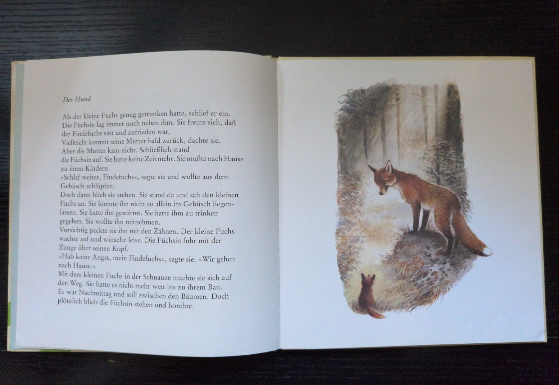 Bücher: Der Findefuchs – Neu (gemäss Beschreibung) aus Ottikon von sobsale 1