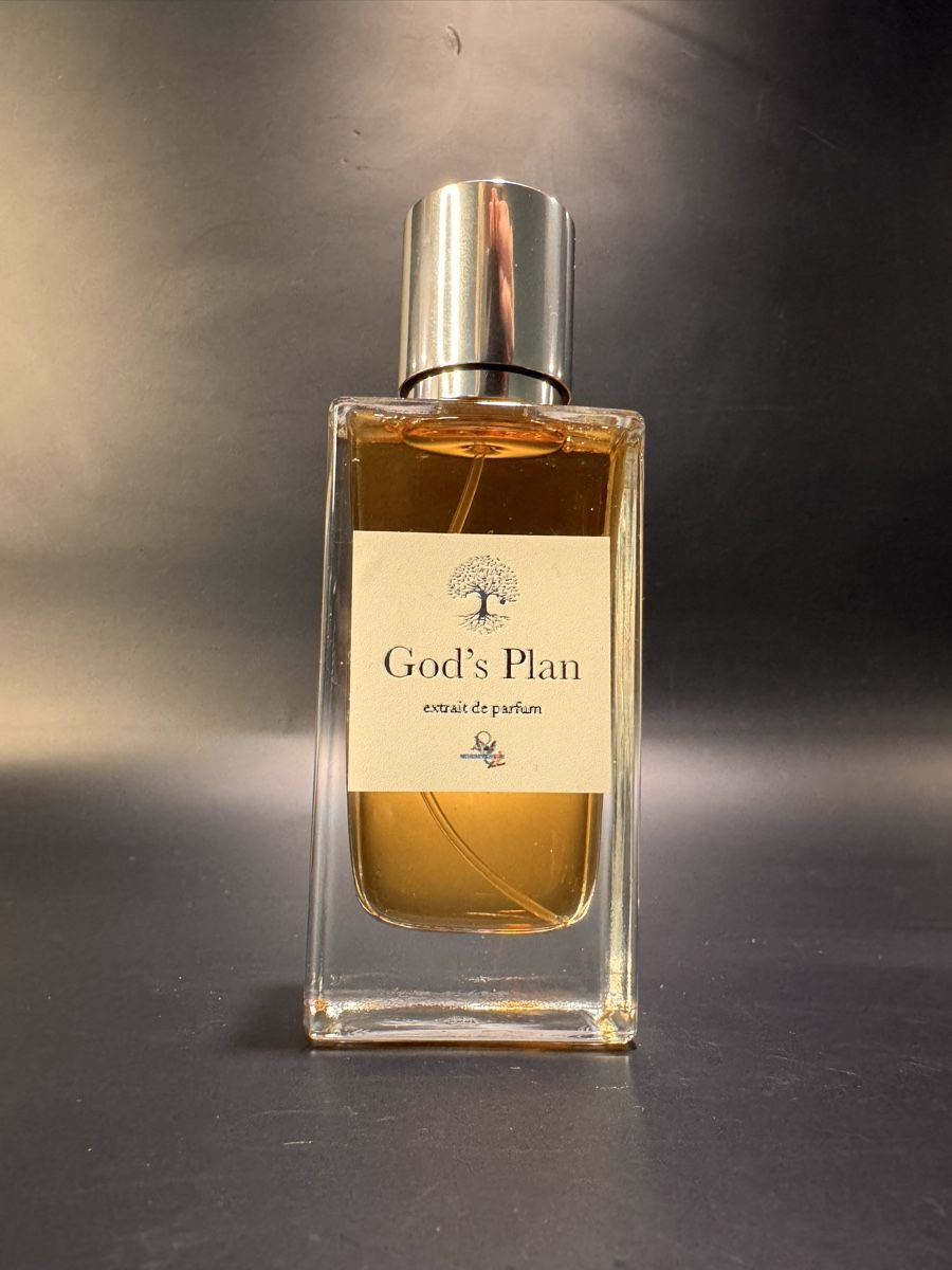 Profumi & Eau de Toilette: God‘s Plan – Nuovo (secondo la descrizione) da Cham venduto da van_x2kn