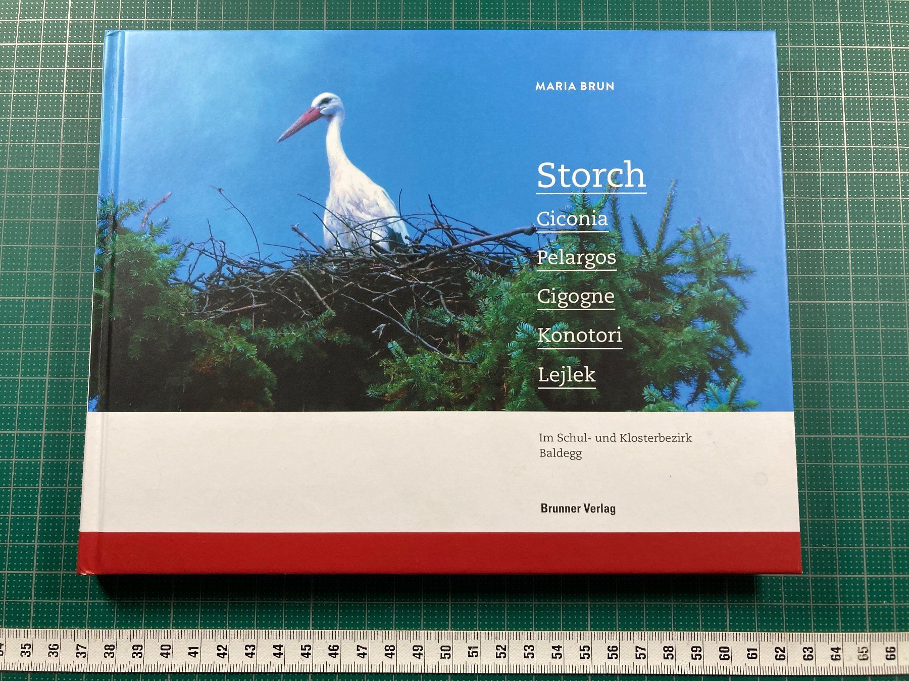 Libri: Maria Brun: STORCH, Schul- und Klosterbezirk Baldegg – Usato da Lenzburg venduto da fh1