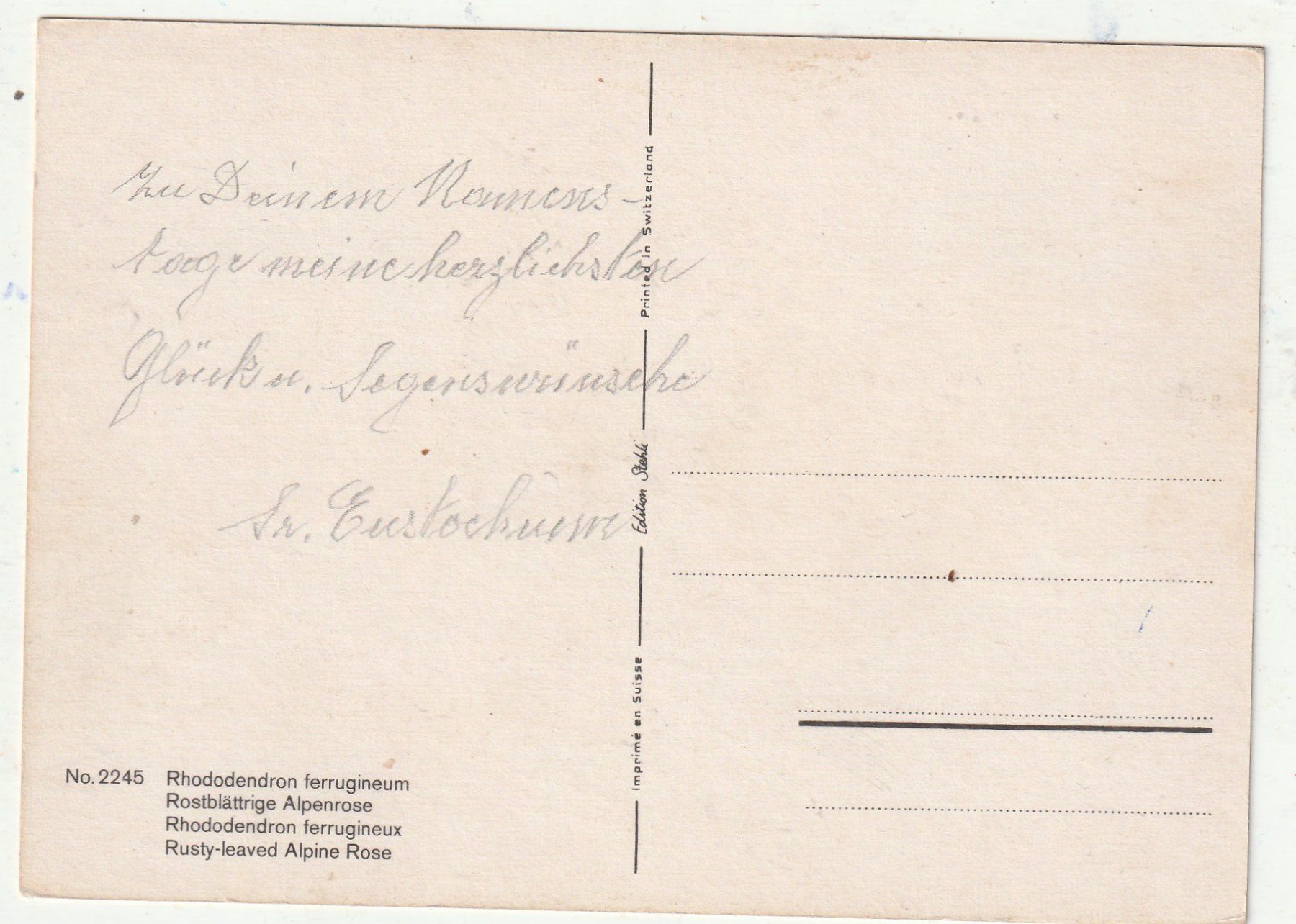 Cartoline postali: Blumenkarte – Usato da Lumbrein venduto da made02 1