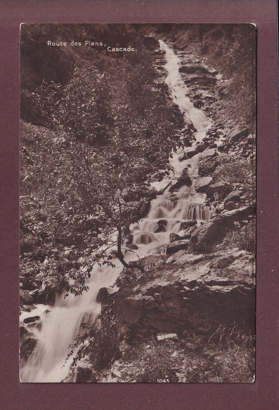 Cartes postales: Route des PLANS (Bex) - La cascade – D'occasion à Pully par nicecards