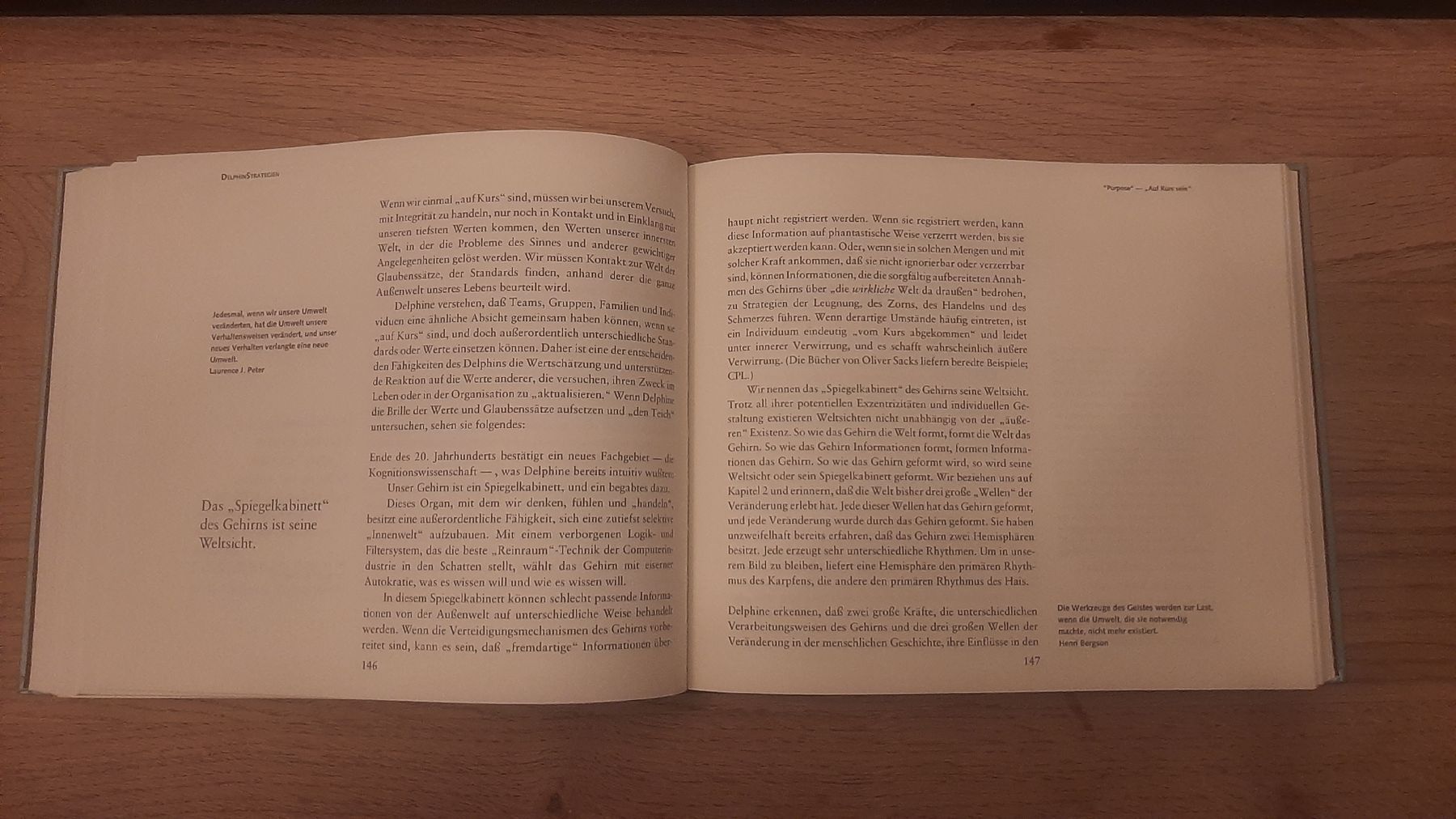 Libri: DelphinStrategien - Management Buch – Usato da Steffisburg venduto da Globas 2