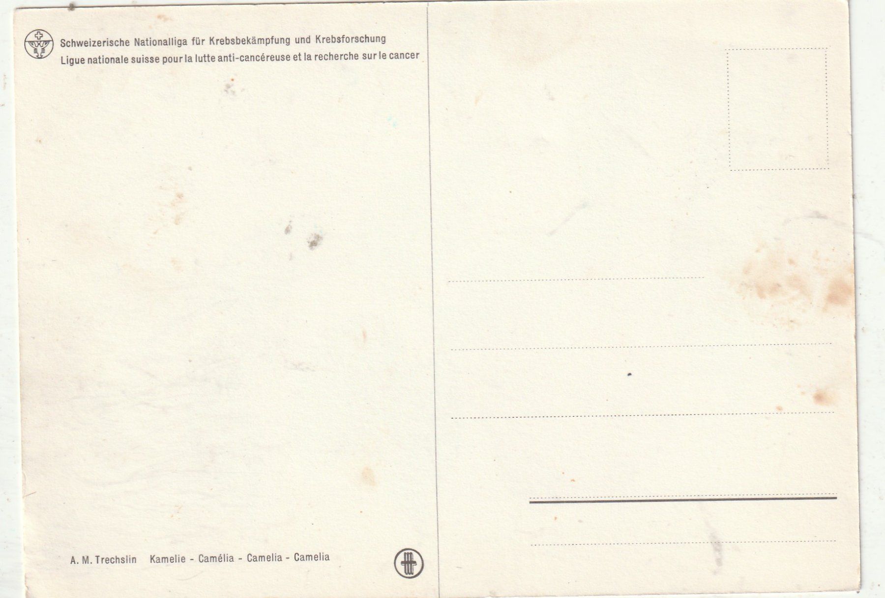 Cartoline postali: Blumenkarte – Usato da Lumbrein venduto da made02 1