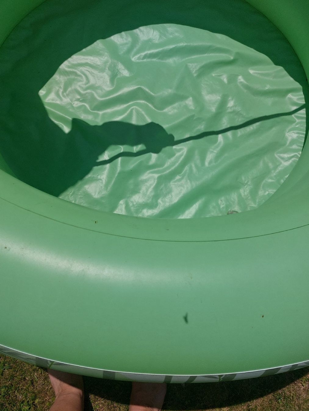 Schwimmbad: Grösseres Schwimmbasin  – Gebraucht aus Landquart von Cedes 2