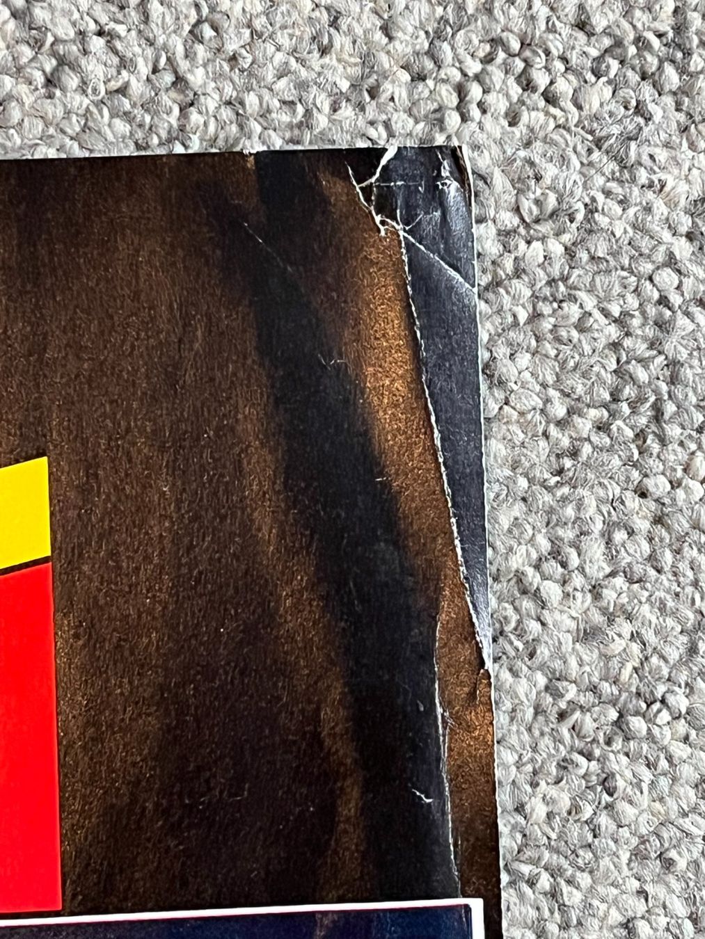 Poster & Bilder: Pantera Konzert Plakat 1994 Zofingen – Gebraucht aus Münchwilen TG von Fearfactory 2