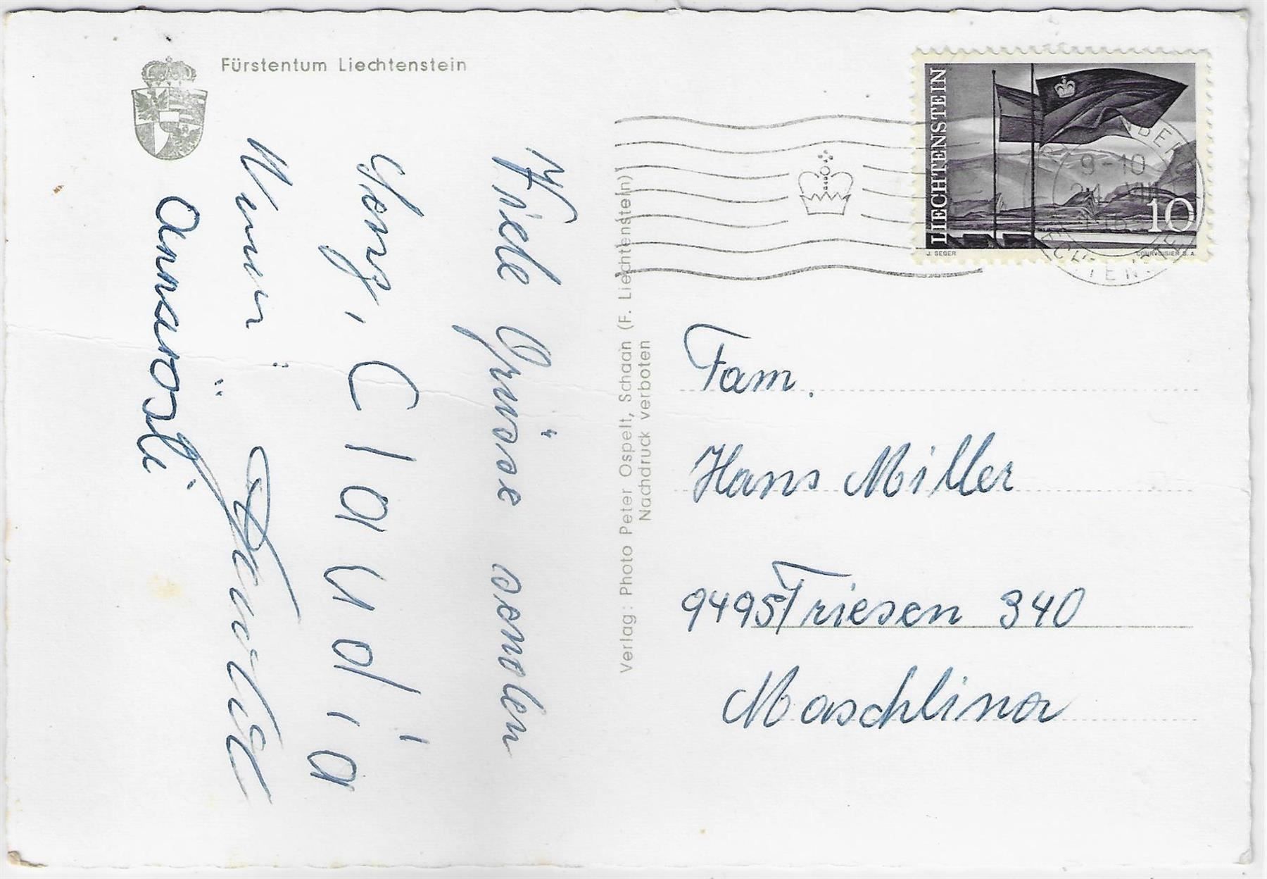 Cartoline postali: Gruss aus der Pfälzerhütte - Multiview – Usato da Ettingen venduto da Kartenplanet 1
