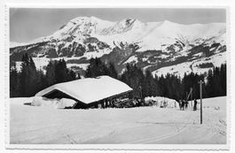 Lenk i. S. Gysenboden um 1955❄️
