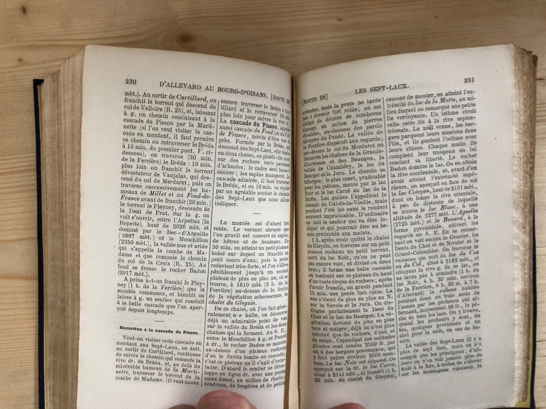 Libri: Itinéraire Dauphiné Isère 1862 – Usato da Zürich venduto da allp 7