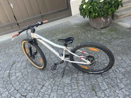 Scott Scale 24 Zoll