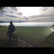 Profile image of javierchu81