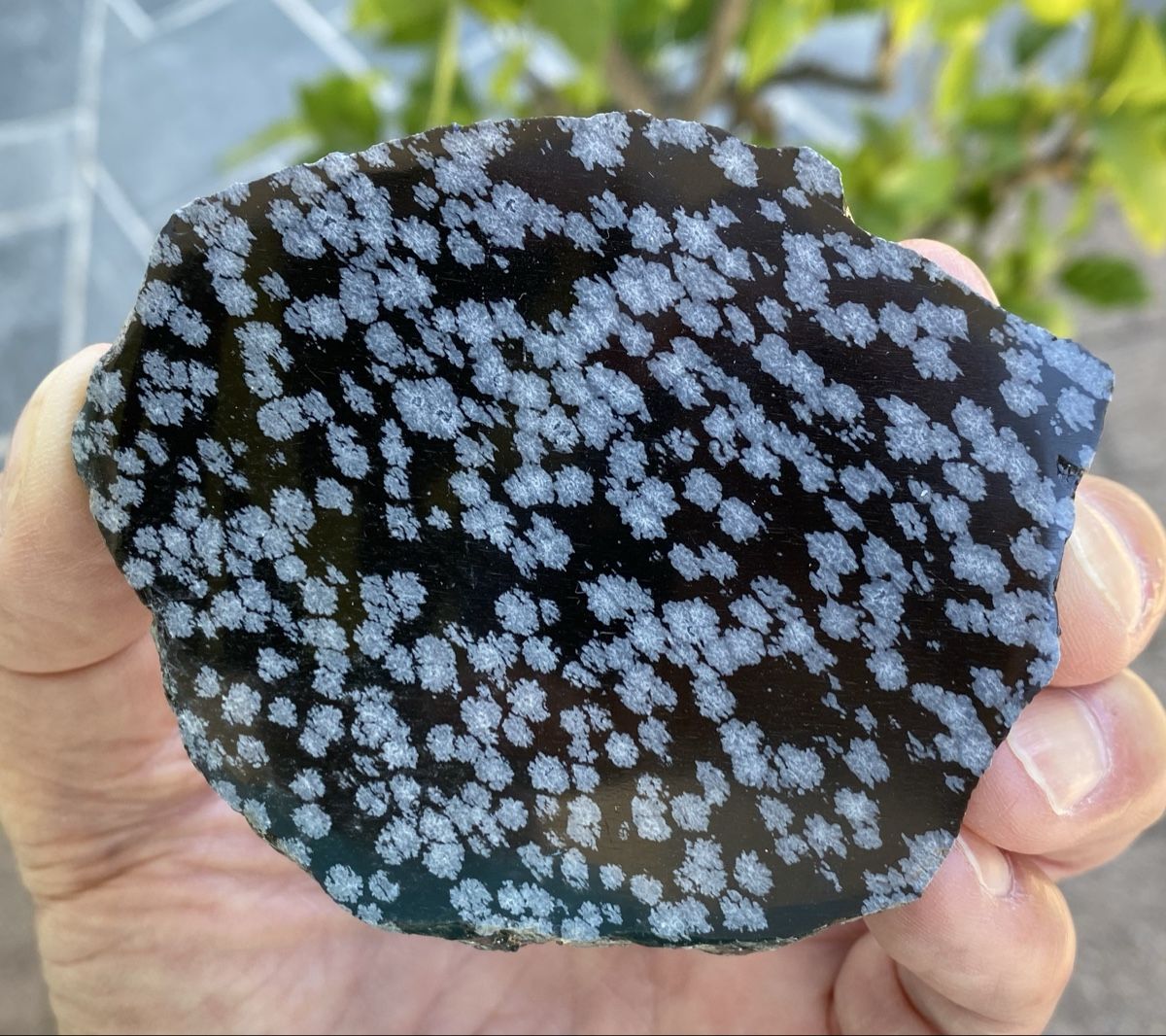 Minéraux & Lithothérapie: Schöne Schneeflockenobsidian Platte  – D'occasion à Selzach par 321compac