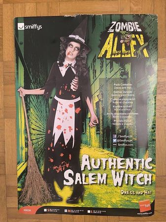 Costume halloween sorcière Salem