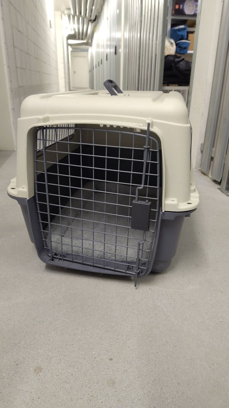 Cucce & Letti: Hundetransportbox – Usato da Mollis venduto da Ckmorpheus 2