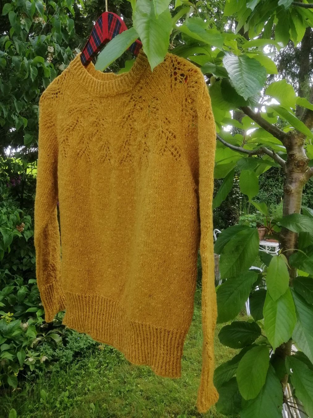 Maglioni & Felpe: Pulli Golden Assam  NEU – Nuovo (secondo la descrizione) da Langenthal venduto da Handstrick 6