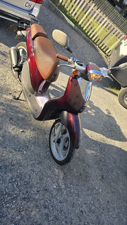 Sitemapcdatahttpsautocellcare1comgebrauchte Roller Von Privatnull