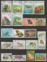 Grenouilles occasion divers