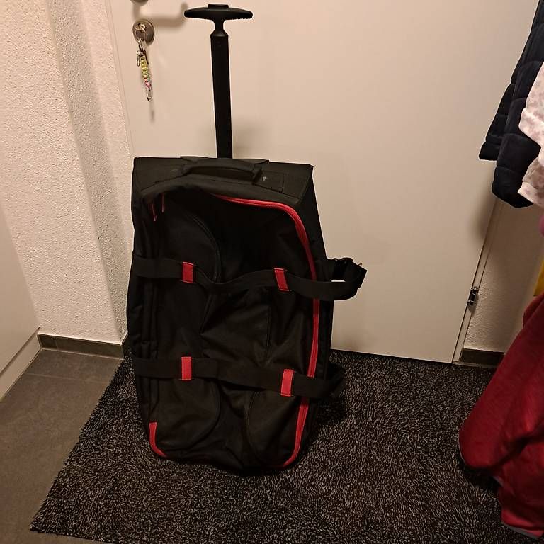Valigie: ReiseTasche/Koffer  – Usato da Neftenbach venduto da sam_jbb5