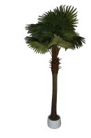 Decoflower Fächerpalme 220cm