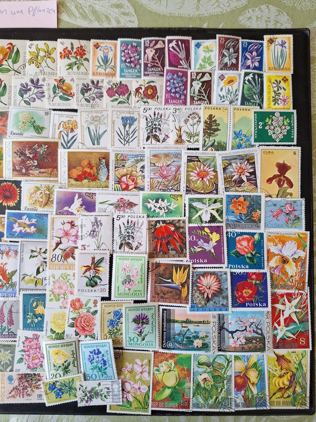 Tutti i francobolli: Grosse Blumen und Pflanzen-Sammlung – Usato da Genolier venduto da Antoine30 3