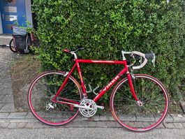 Viner Evolution Rennrad  Campagnolo Veloce  Made in Italy