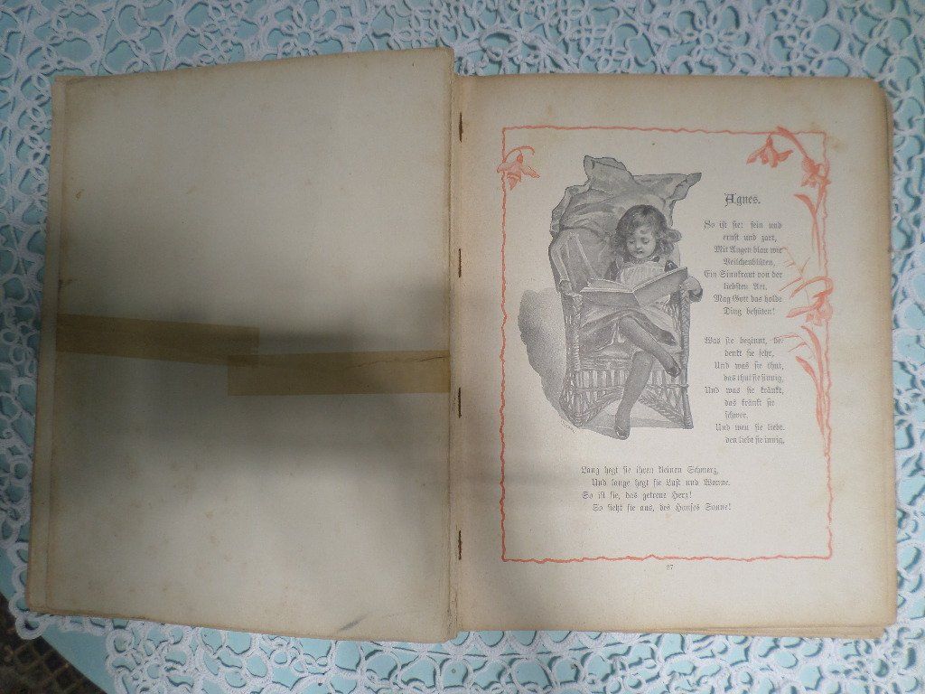 Libri: Bunter Sang von Frida Schanz – Usato da Liestal venduto da man_7bt6 6
