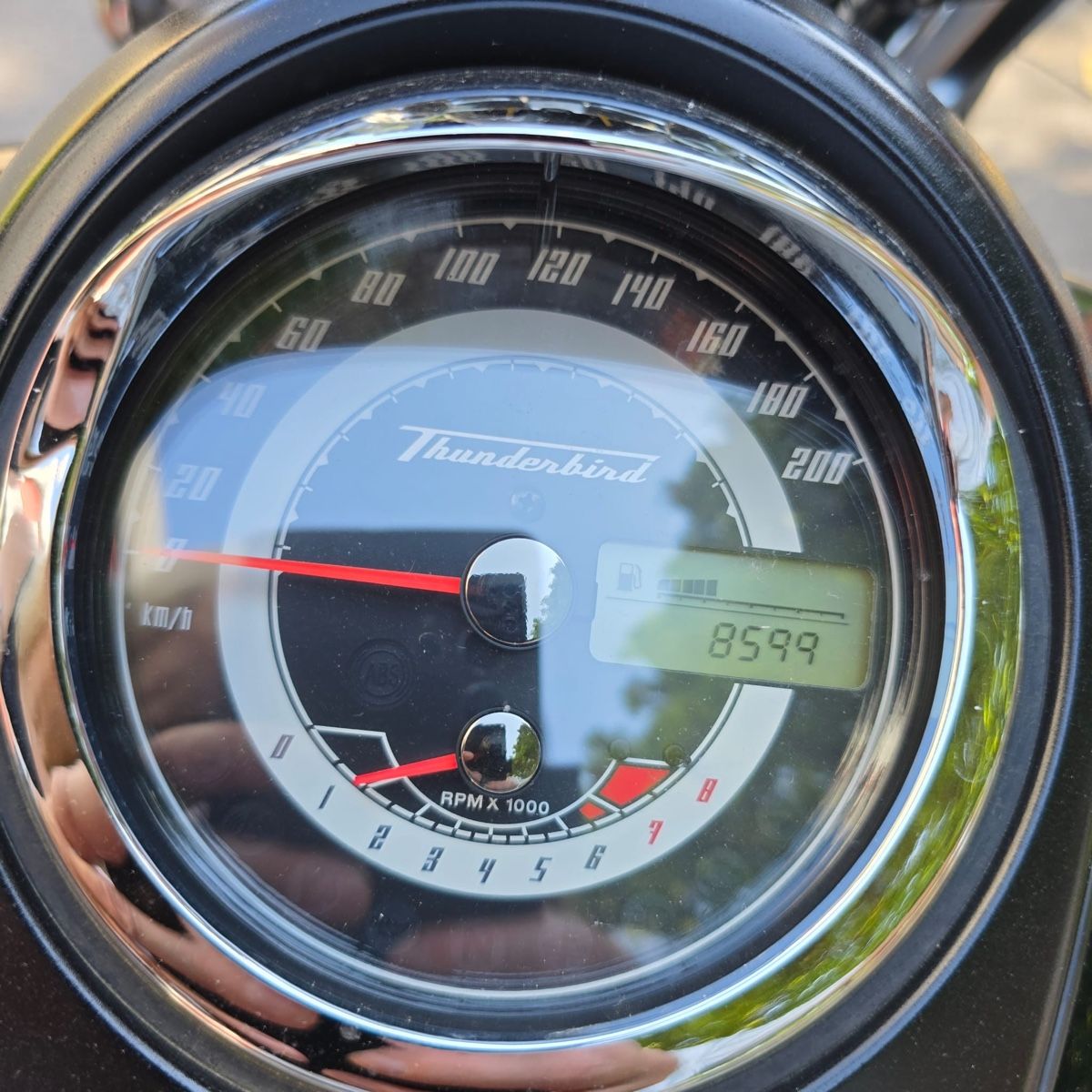 Triumph Cruisers: Triumph Thunderbird 1700  – D'occasion à Hirzel par vagabondo01 7