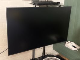 Samsung QMH 65“ Bildschirm
