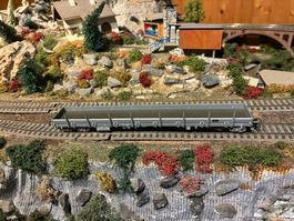 Roco 76978 Rungenwagen Res