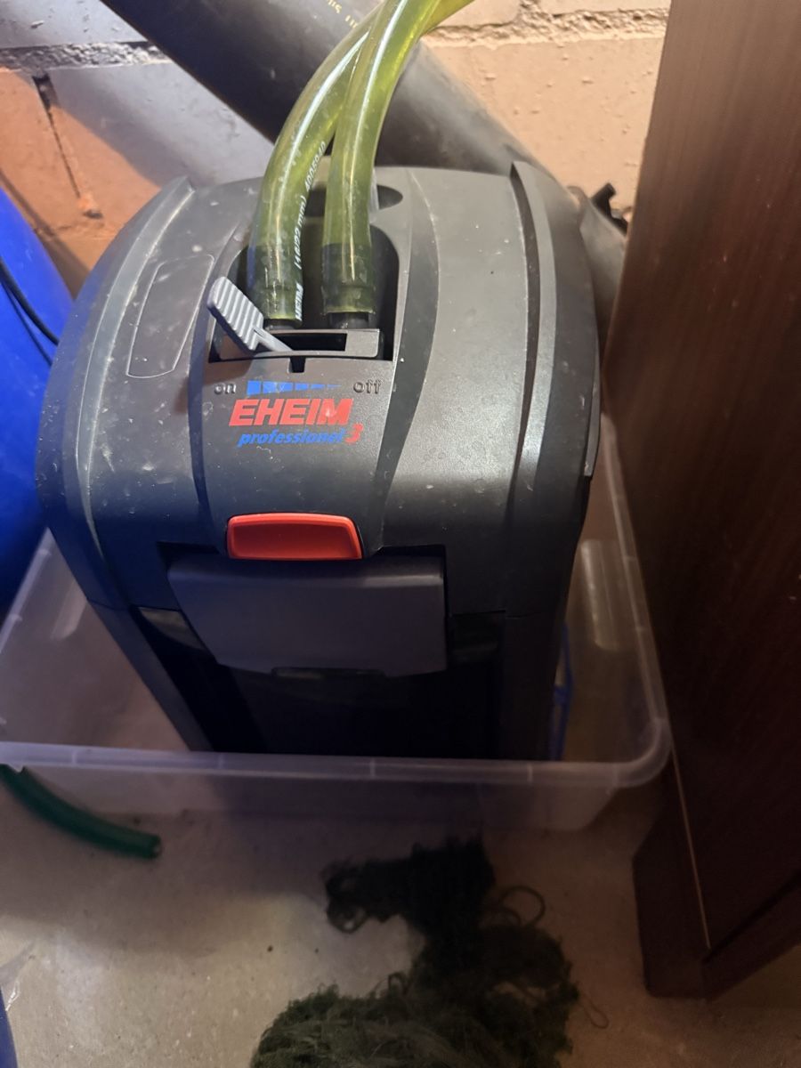 Aquarium: Aquarium Eheim 120L – D'occasion à Biberist par rin_vl7s 1